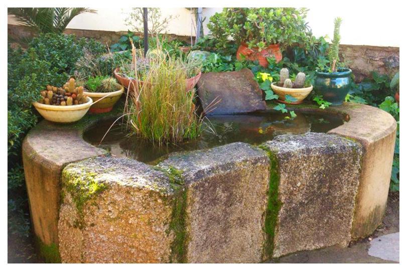 La Roca de la Sierra Casa Rural Valdevilano المظهر الخارجي الصورة